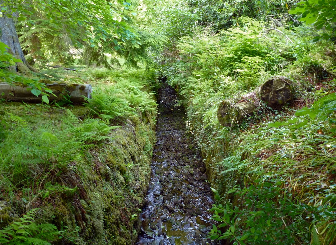 Photo Garden pathway